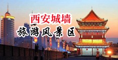 亚洲大鸡巴日美女小穴导航中国陕西-西安城墙旅游风景区